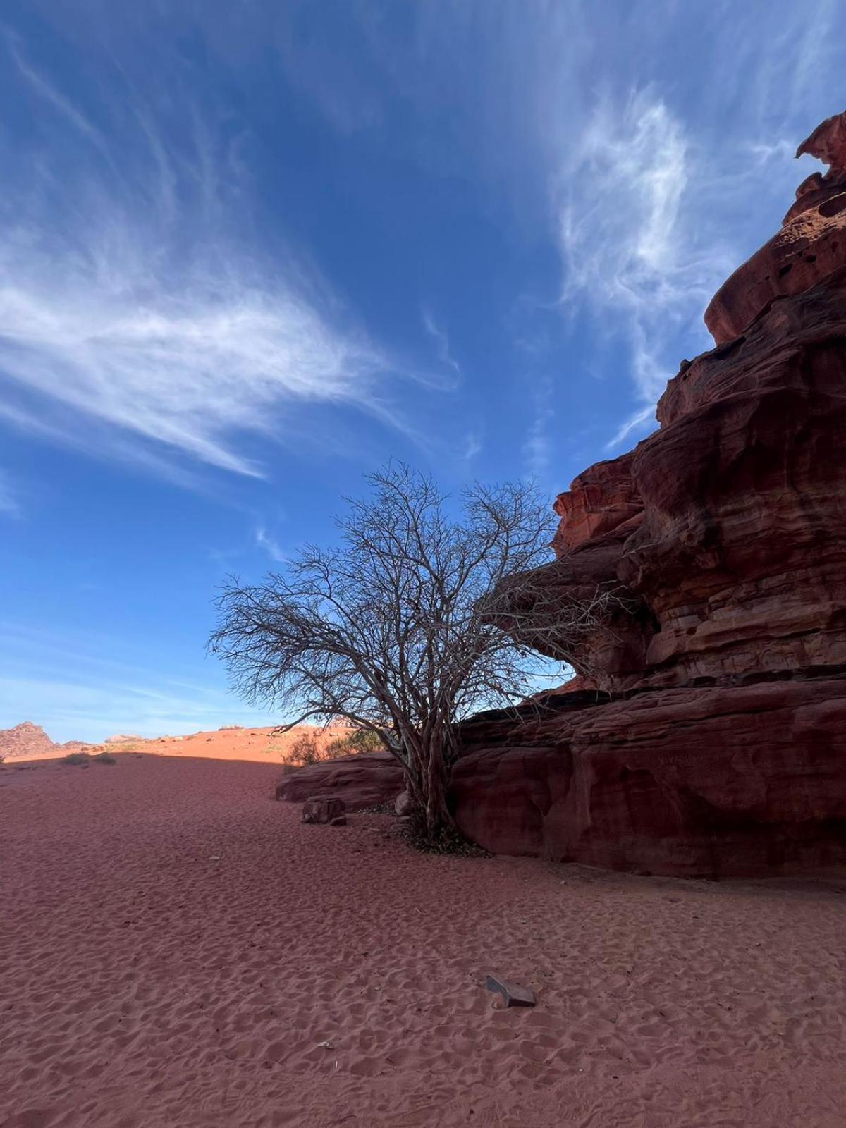 Nayef wadi Rum Camp Eksteriør billede